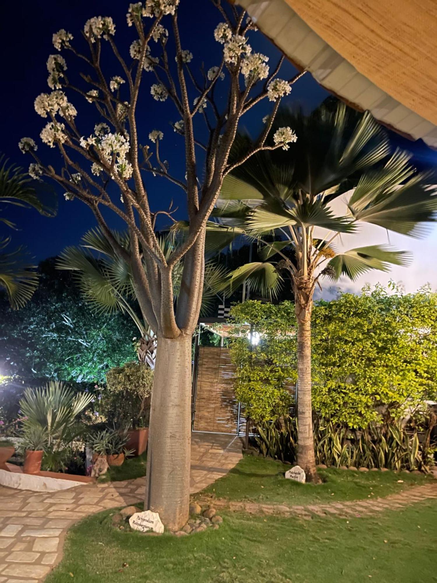 Le Jardin Exotique Hotel Antsiranana 외부 사진