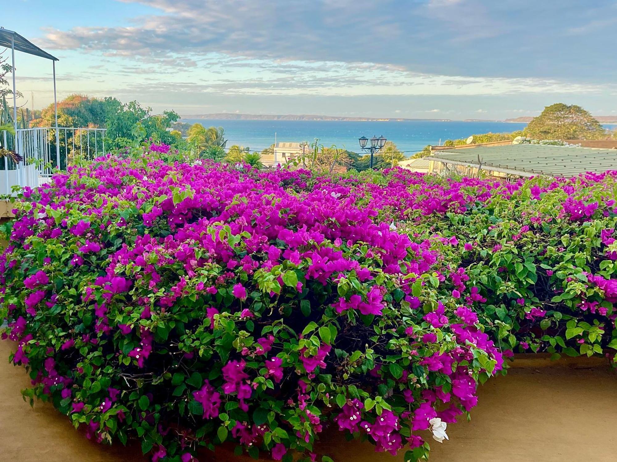 Le Jardin Exotique Hotel Antsiranana 외부 사진