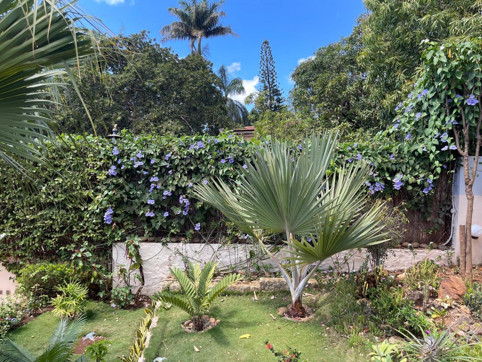 Le Jardin Exotique Hotel Antsiranana 외부 사진
